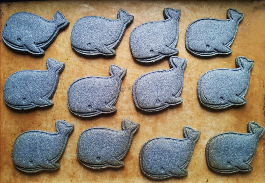 whale cookie